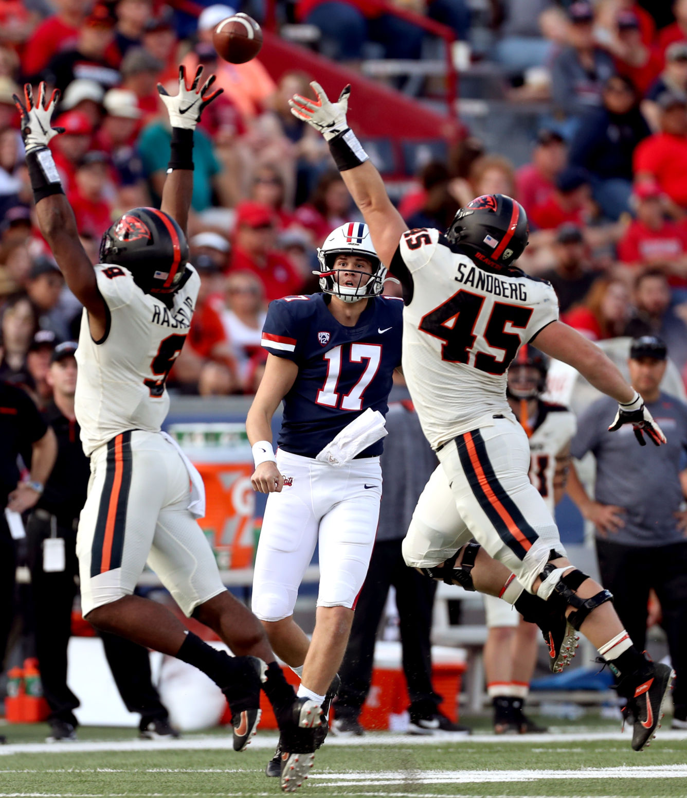 Arizona vs Oregon State football, homecoming